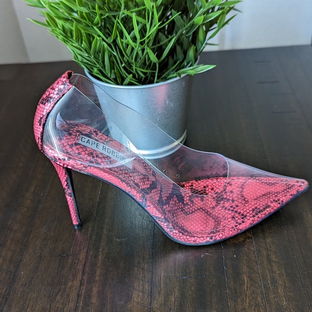 Transparent Lucite Pump Heel with Pointed Toe